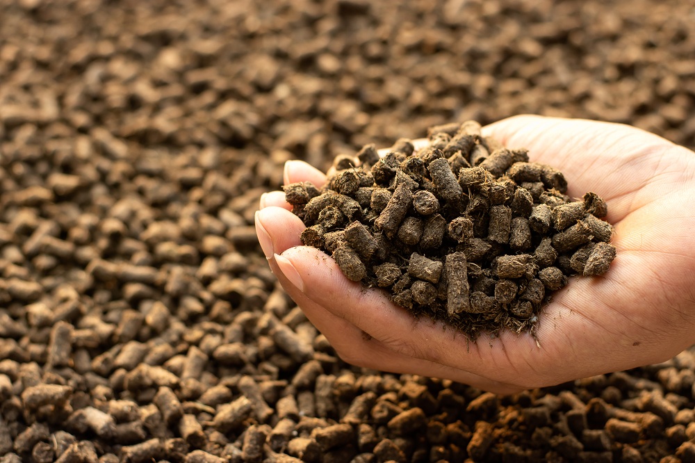 Choose the Best Natural Organic Fertilizer Choose the Best Natural Organic Fertilizer