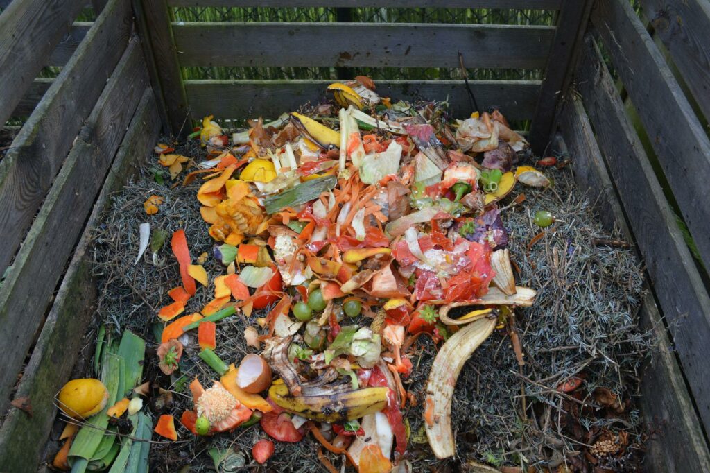 DIY Compost is Quite Complicated DIY Compost is Quite Complicated