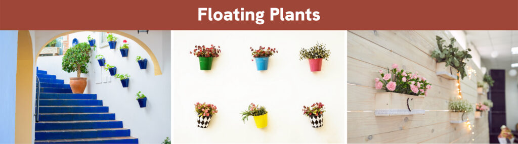 Floating Plants Floating Plants