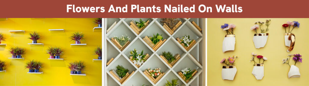 Flowers And Plants Nailed On Walls Flowers And Plants Nailed On Walls