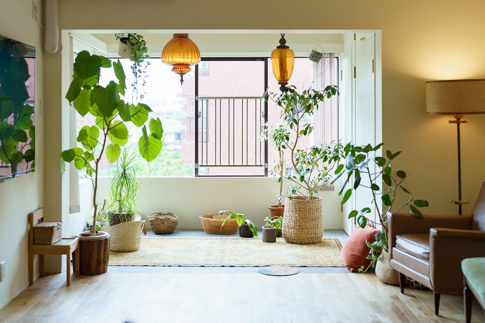 Green House Green House