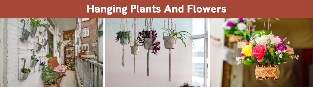 Hanging Plants And Flowers Hanging Plants And Flowers