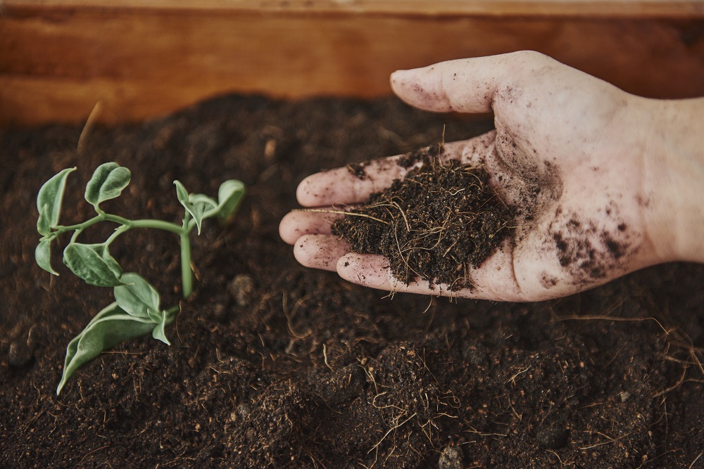 Natural Organic Fertilizer Natural Organic Fertilizer