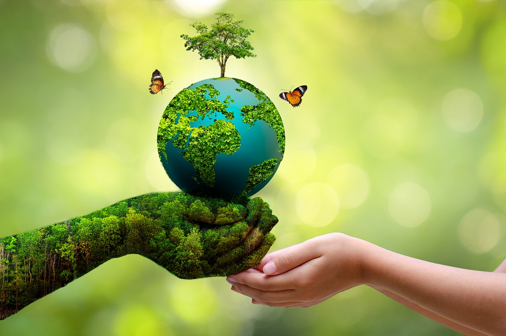 Organic Fertilizers are Environment Friendly Organic Fertilizers are Environment Friendly