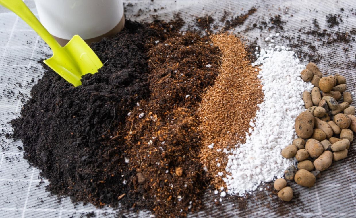Tea Seed Meal Powder manufacturer Tea Seed Meal Powder manufacturer