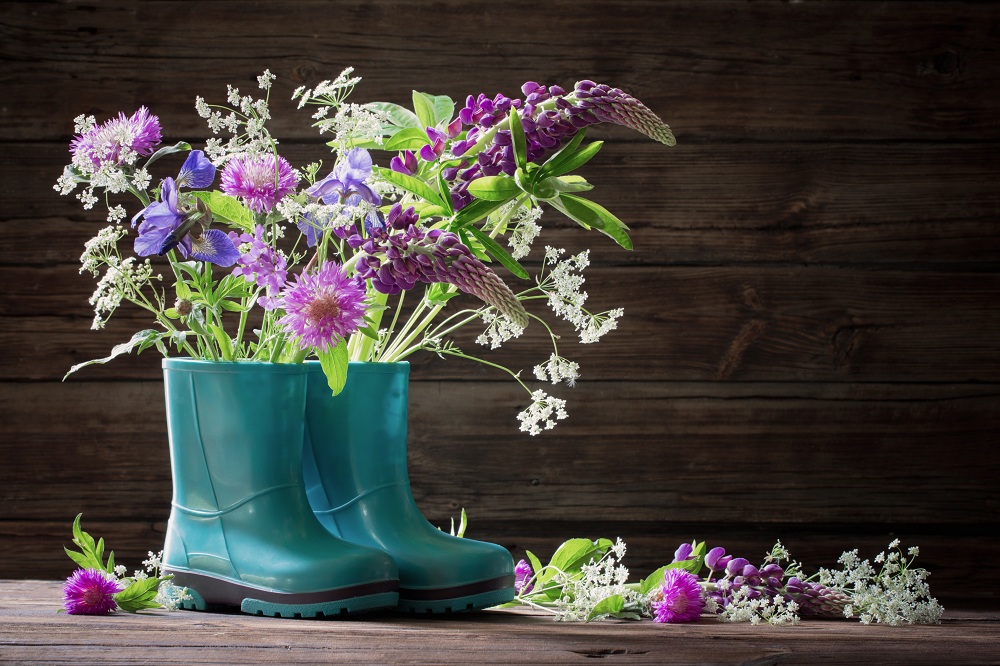 Plant In Boots Plant In Boots