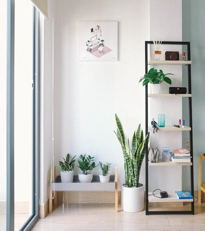 Plant Shelves Plant Shelves