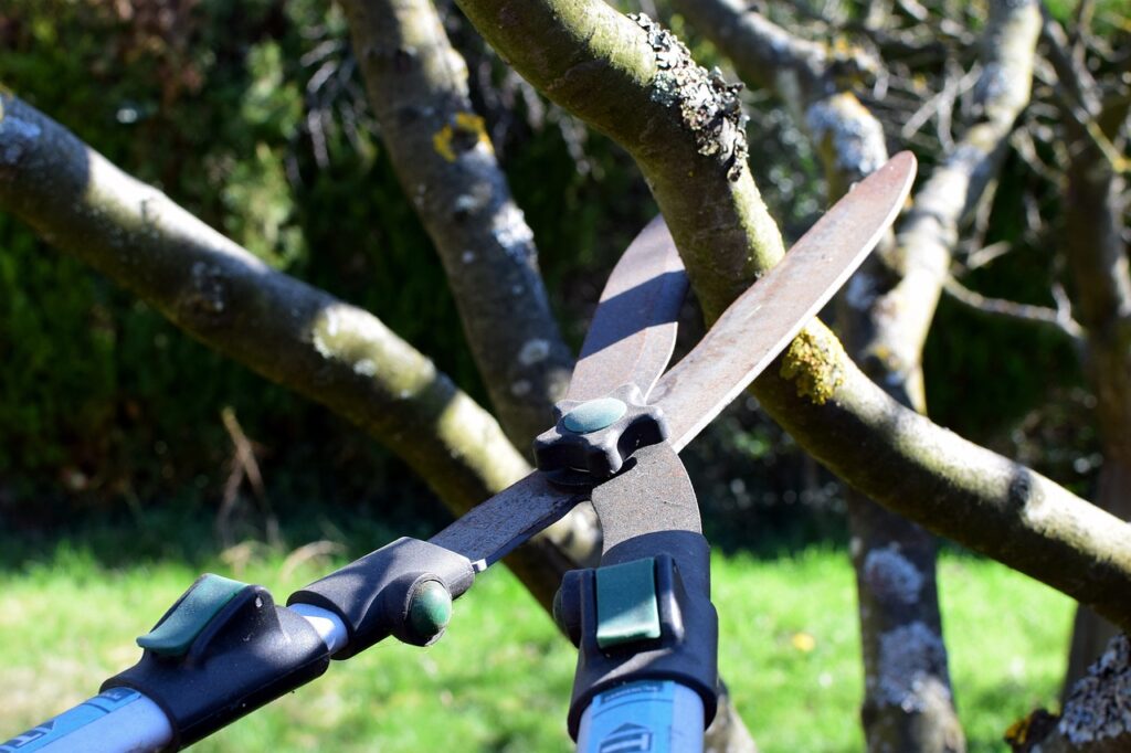 Prunning Trees Properly