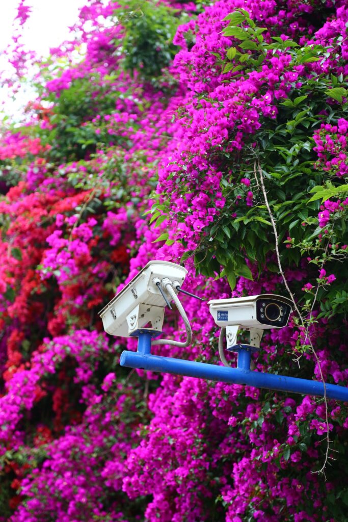 Security Camera in Planned Community Home Security Camera in Planned Community Home