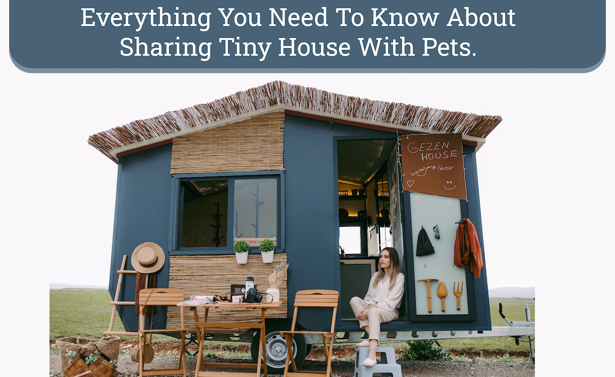 Sharing tiny house with pet