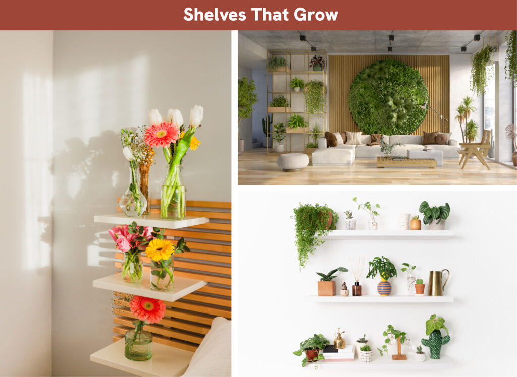 Shelves That Grow Shelves That Grow