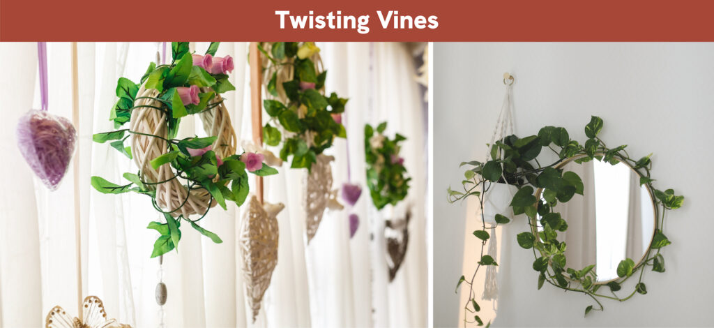 Twisting Vines Twisting Vines