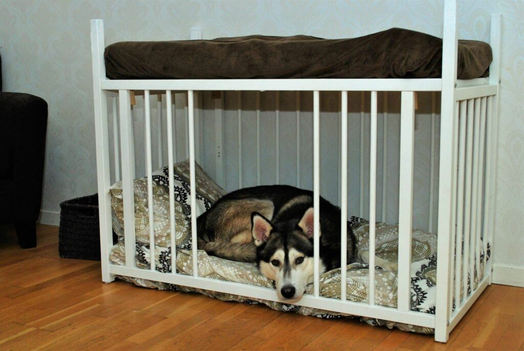 Unwanted Crib into a Dog Bed Unwanted Crib into a Dog Bed