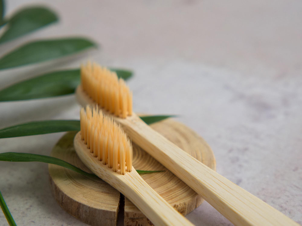 Use Bamboo Toothbrush