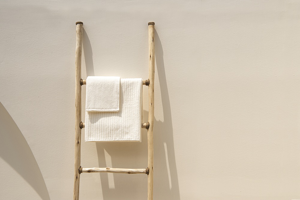 Bamboo Ladder