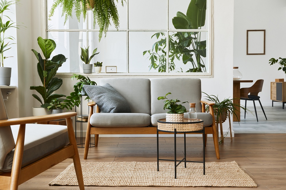 Go – Earthy Go – Earthy
