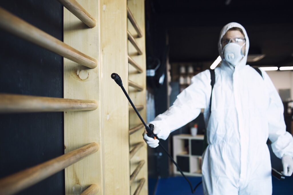 Termite Prevention Termite Prevention