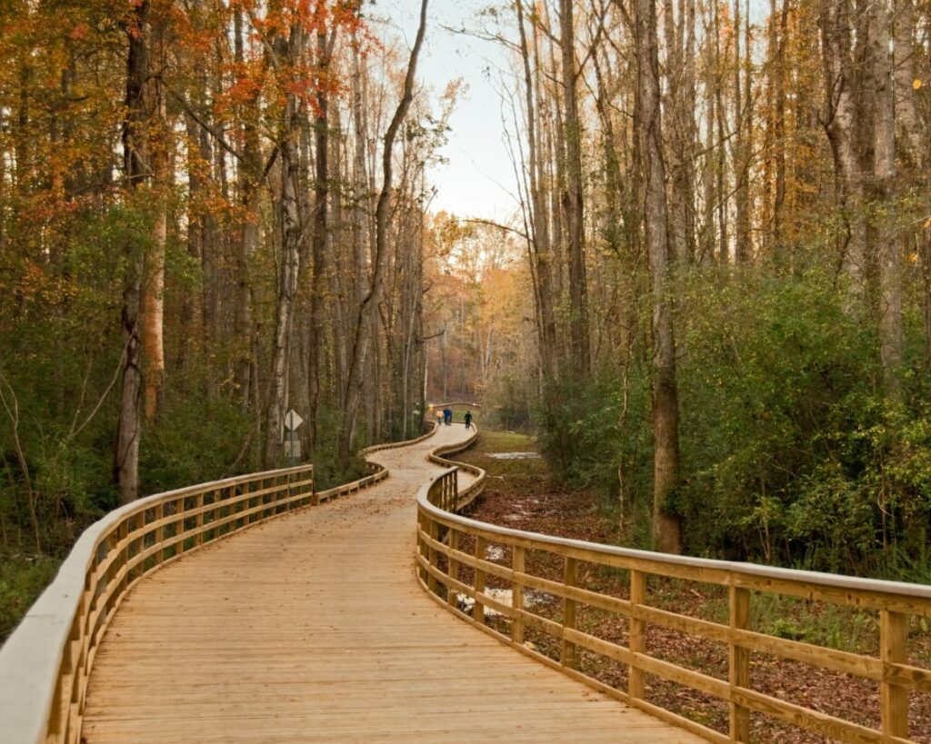 Big Creek Greenway Big Creek Greenway