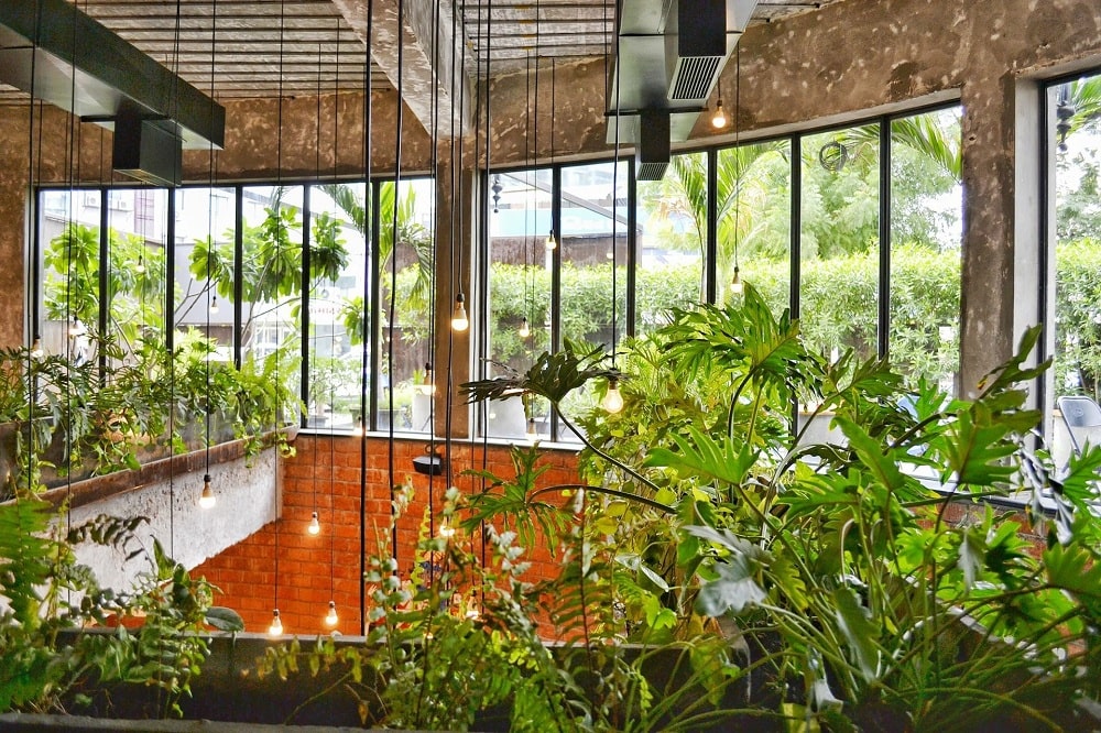 An Indoor Garden An Indoor Garden