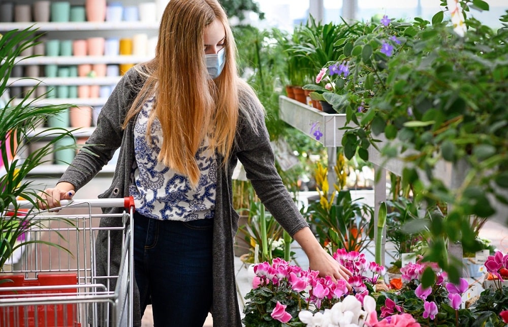 Buying Garden Plants Buying Garden Plants