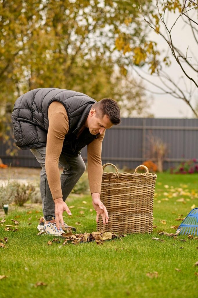 Cleaning Your Garden Cleaning Your Garden