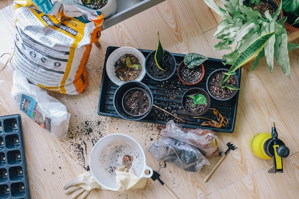 Container Gardening Container Gardening