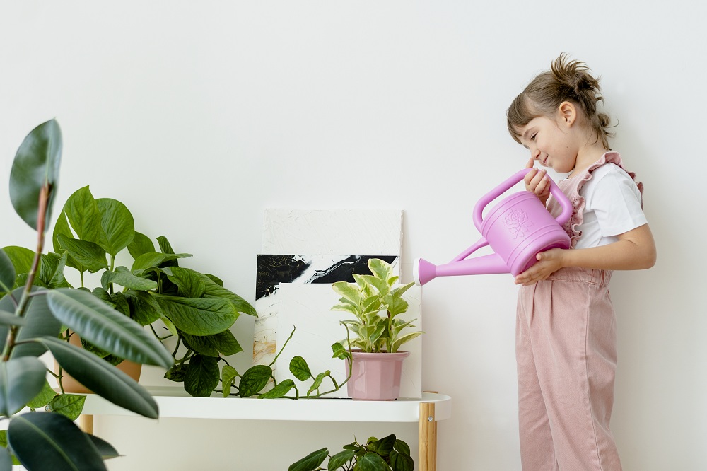 Maintenance Of Indoor Container Gardening Maintenance Of Indoor Container Gardening