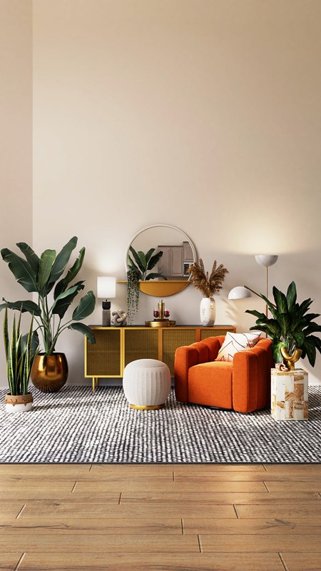 Plants to Bring Life to the Apartment Plants to Bring Life to the Apartment