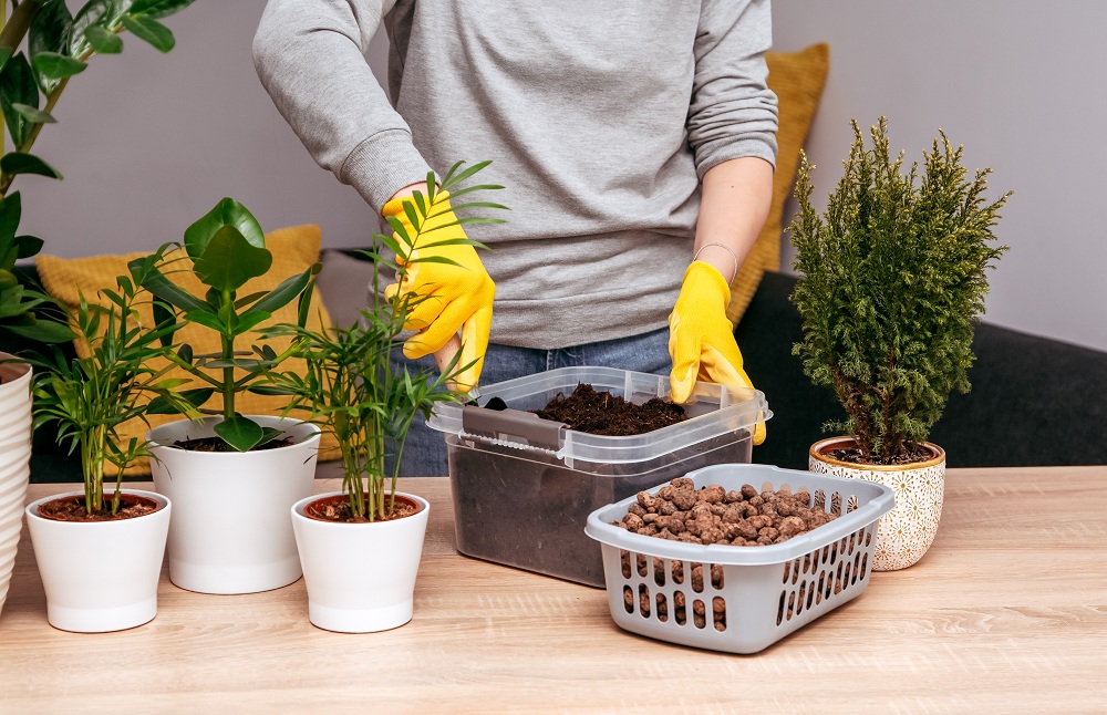 Prepare The Potting Soil Prepare The Potting Soil