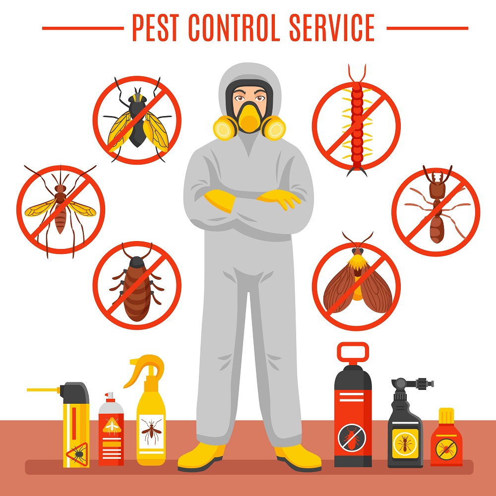 Remove Potential Health Hazards