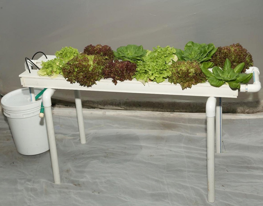 Set Up The Hydroponic System Set Up The Hydroponic System