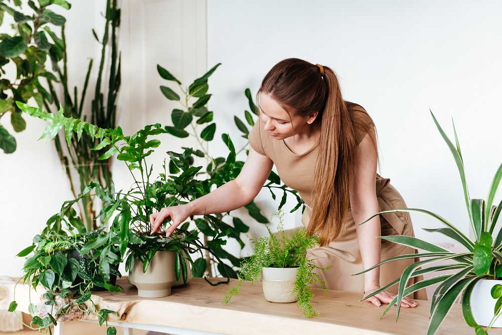 Set Up Your Gardening System Set Up Your Gardening System