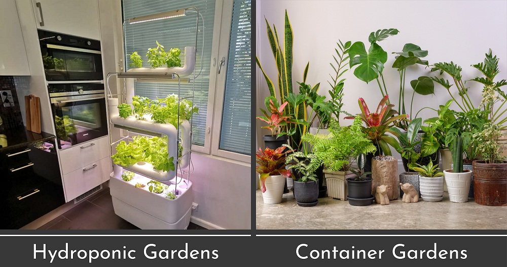Type Of Garden Type Of Garden