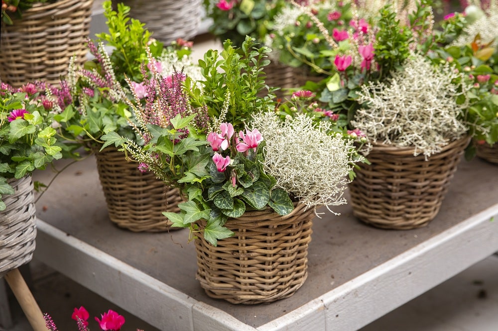 Baskets With Flowers