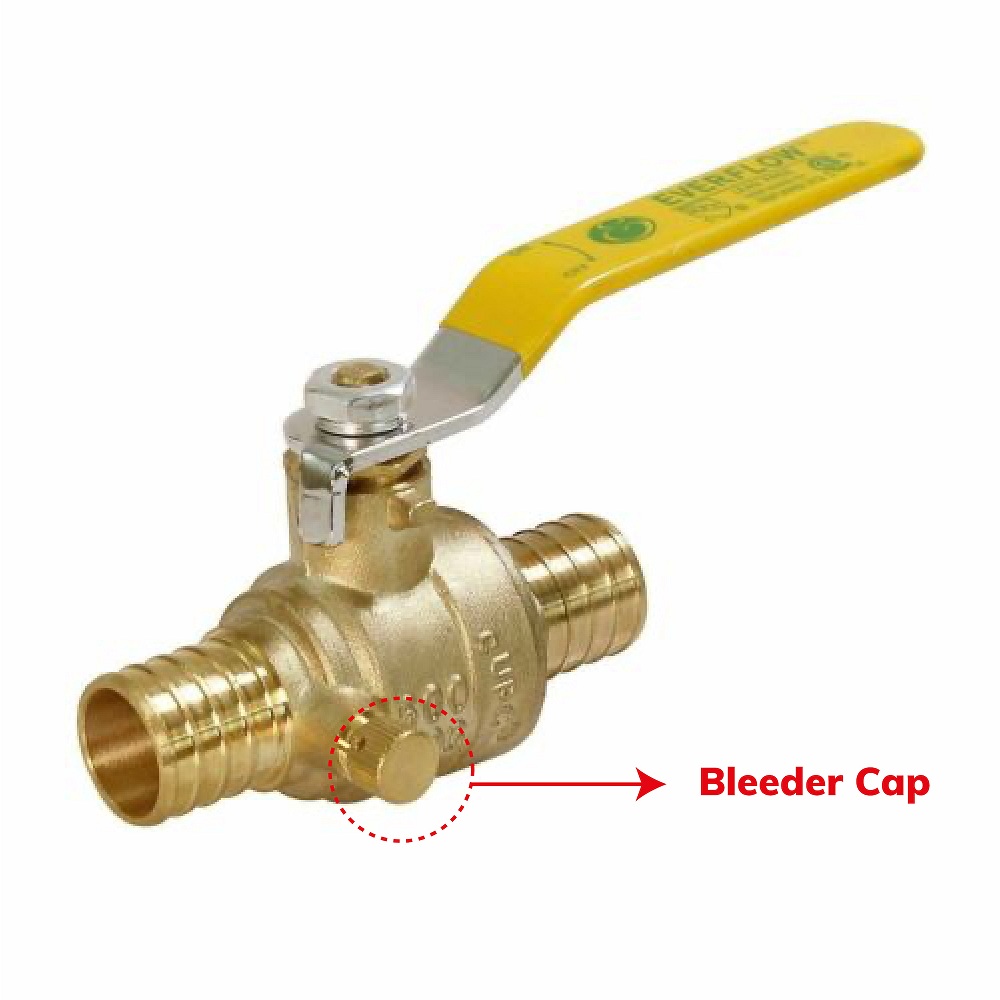Bleeder cap of valve Bleeder cap of valve