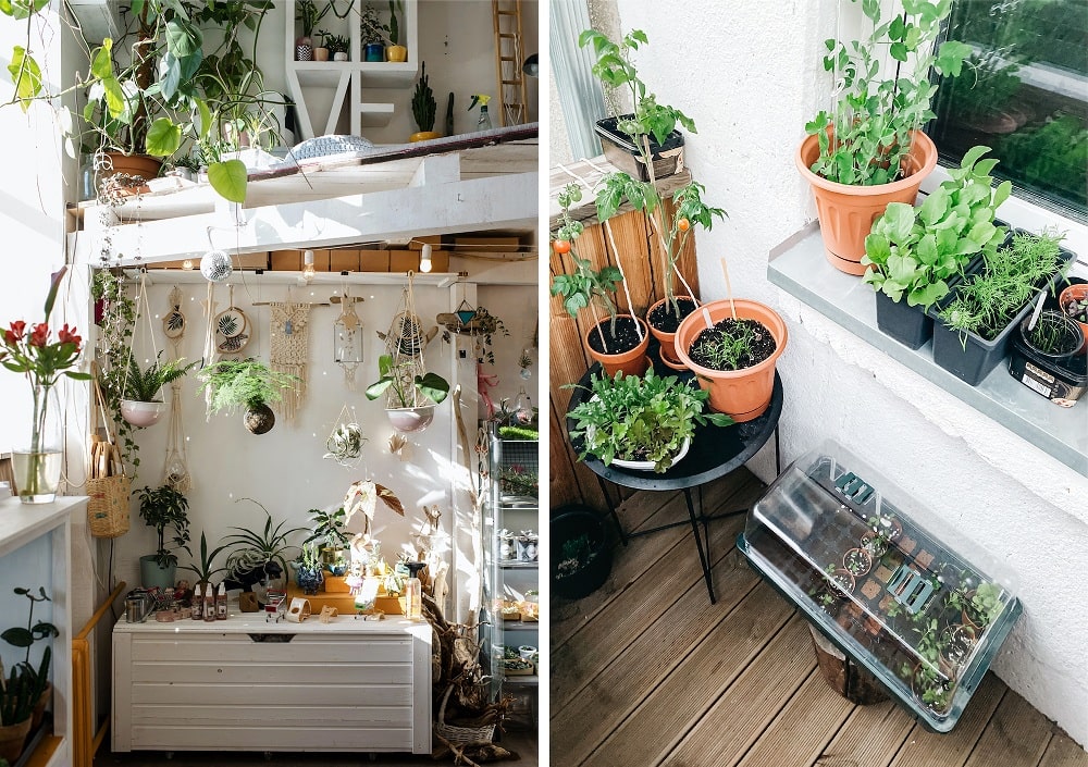 Green corner of house