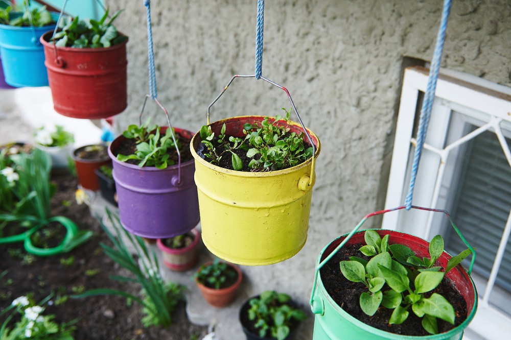 Hanging Planters