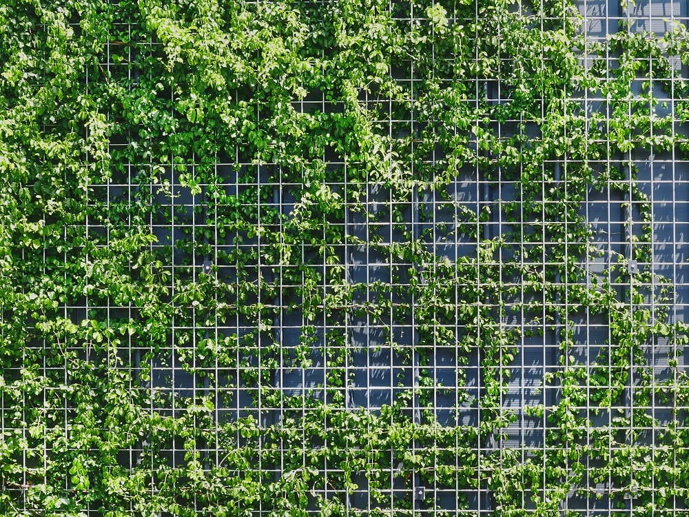 Plant-Net