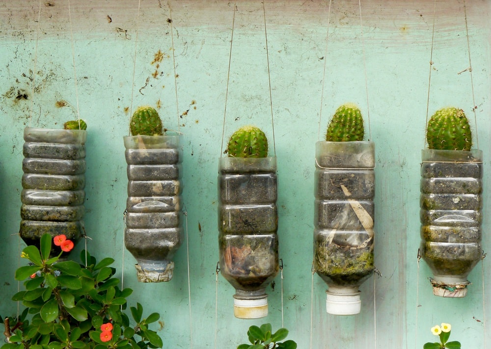 Plastic Bottle Planters