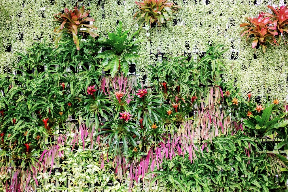 Shower with Green Leaves