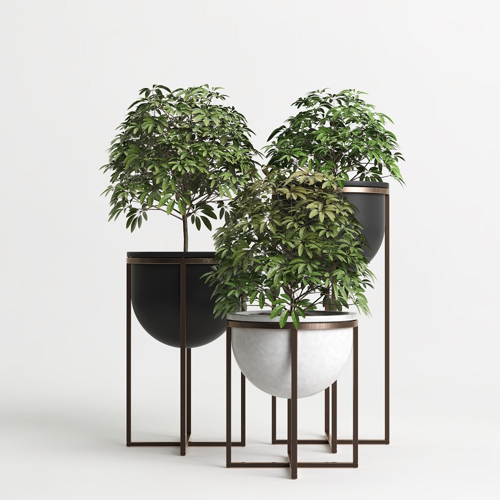 Steel Planters