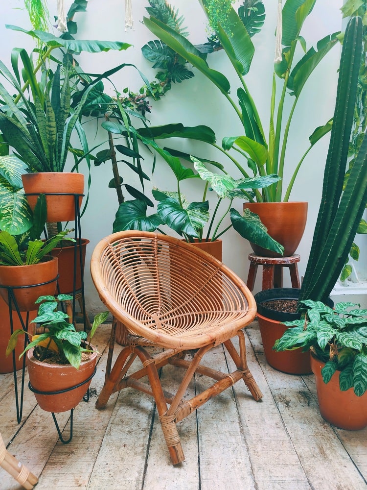 Tropical Style Furnishings Tropical Style Furnishings