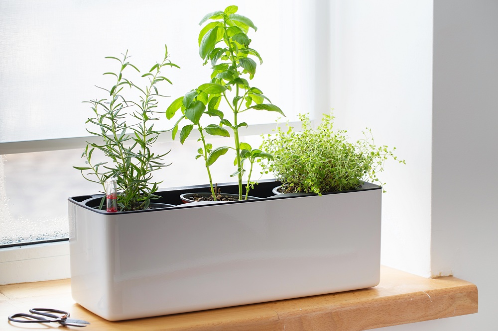 Vertical Kitchen Herb Garden