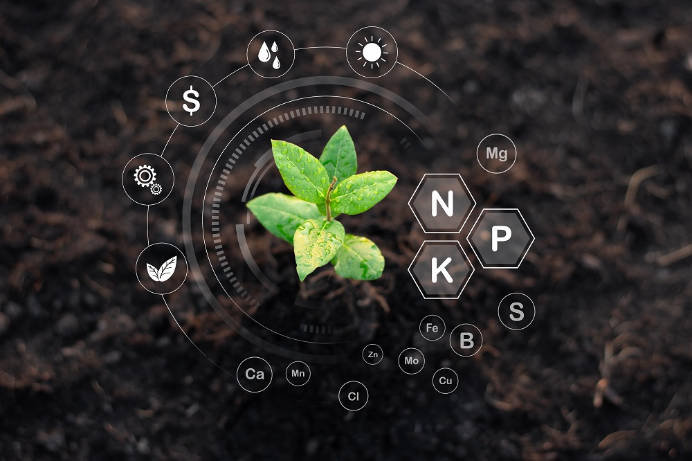 Benefits Of Fertilizing Your Lawn Benefits Of Fertilizing Your Lawn