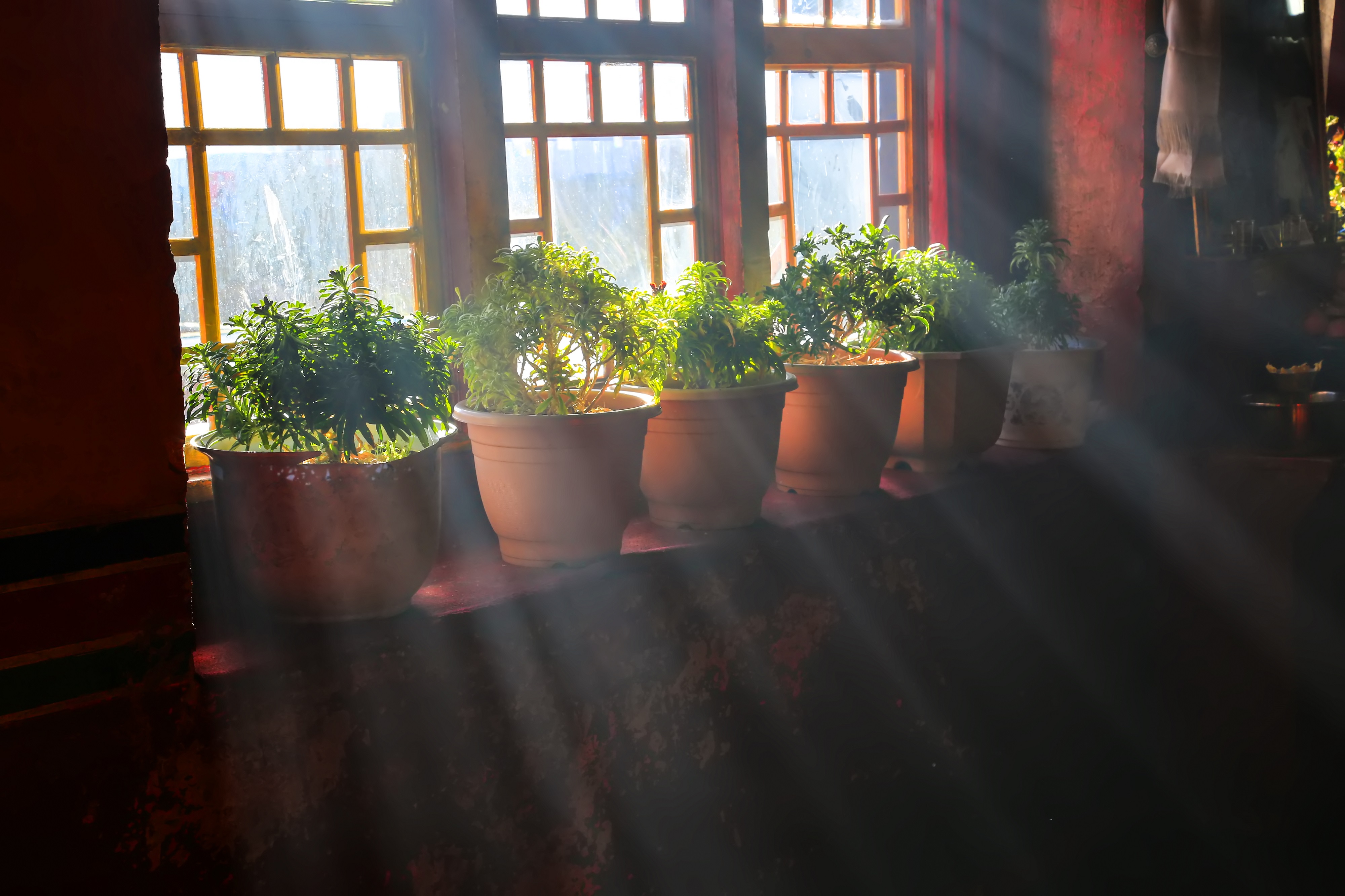 Bring in The Sunshine