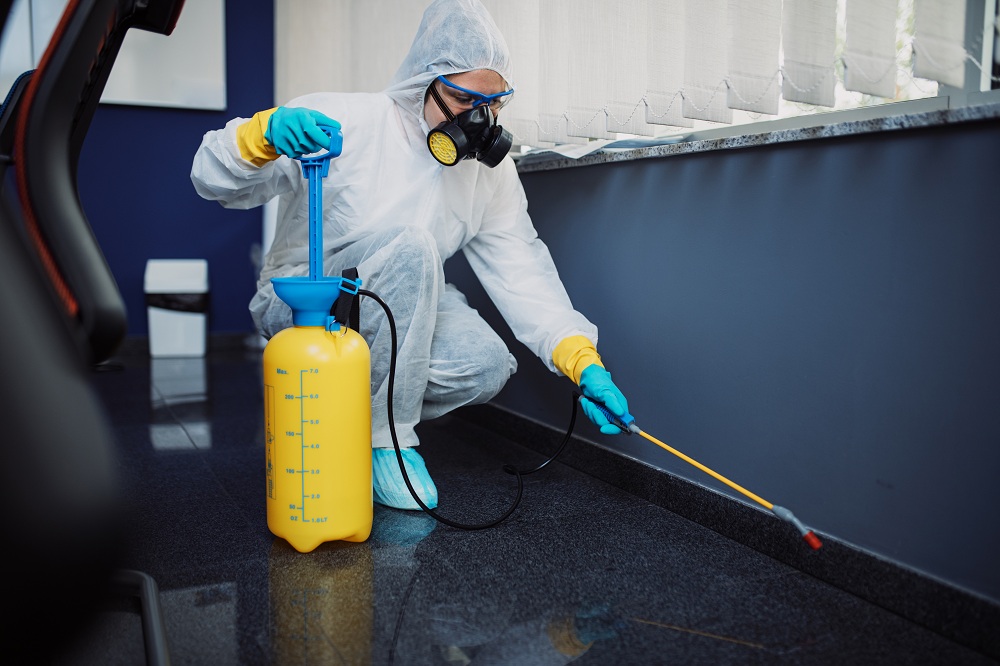 Call the Pros to Keep Ants Away from Home Call the Pros to Keep Ants Away from Home