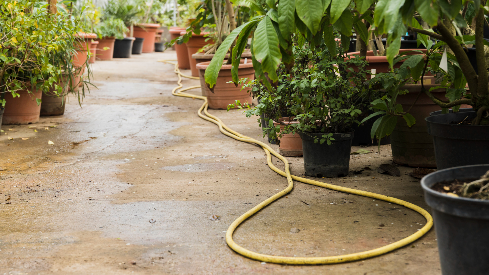 Ensure Proper Drainage for your Monsoon Garden