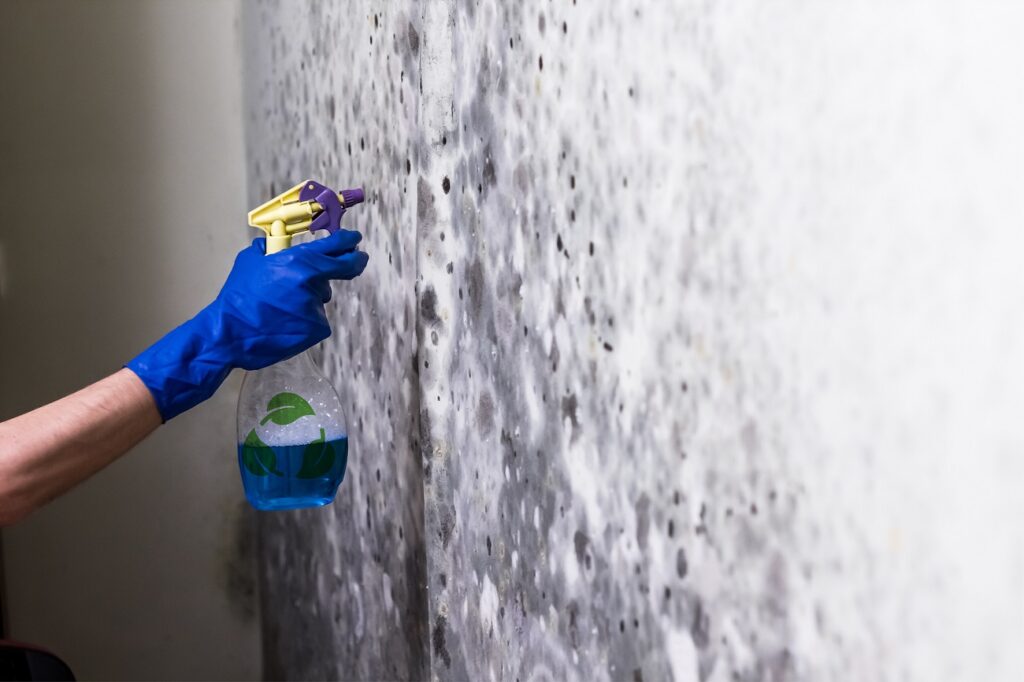 Environment- Friendly Mould Remover