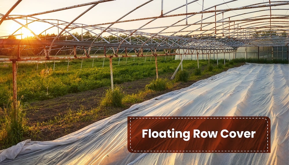 Floating Row Cover