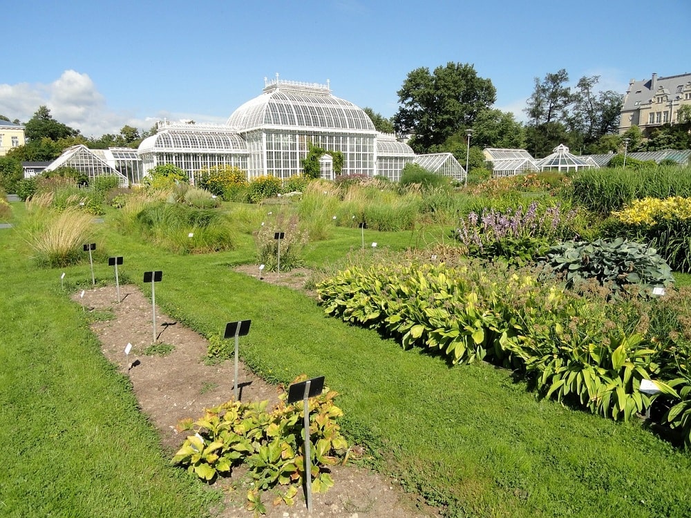 Kaisaniemi Botanic Garden Greenhouse, Finland